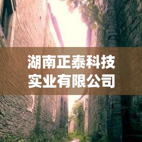 湖南正泰科技實(shí)業(yè)社會(huì)責(zé)任實(shí)踐，積極履行，貢獻(xiàn)卓越