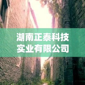 湖南正泰科技實(shí)業(yè)，客戶口碑鑄就卓越品質(zhì)保障。
