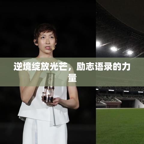 勵志語錄，逆境中綻放光芒的力量