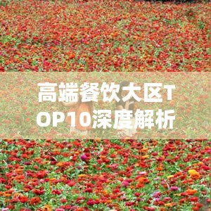 高端餐飲大區(qū)TOP10深度剖析報(bào)告