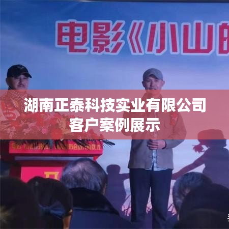 湖南正泰科技實(shí)業(yè)客戶案例展示，成功案例解析與經(jīng)驗(yàn)分享