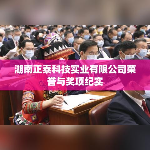 湖南正泰科技榮譽與獎項一覽表