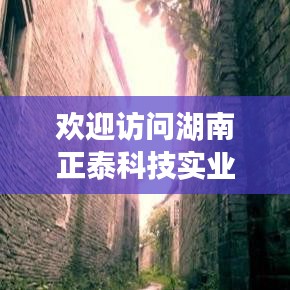 湖南正泰科技實(shí)業(yè)有限公司官網(wǎng)，專業(yè)科技實(shí)力，優(yōu)質(zhì)服務(wù)體驗(yàn)