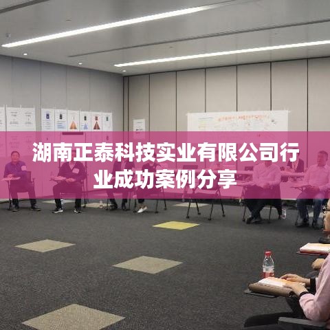 湖南正泰科技實(shí)業(yè)成功案例展示，行業(yè)翹楚之選