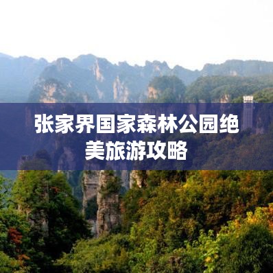 張家界國(guó)家森林公園，超美旅游攻略