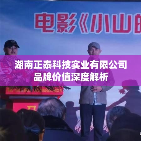 湖南正泰科技品牌價(jià)值深度解讀