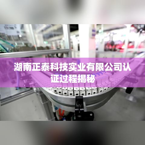 湖南正泰科技實(shí)業(yè)有限公司認(rèn)證流程揭秘，專(zhuān)業(yè)品質(zhì)保障