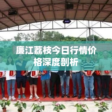 廉江荔枝行情價(jià)格深度解析，最新市場動態(tài)