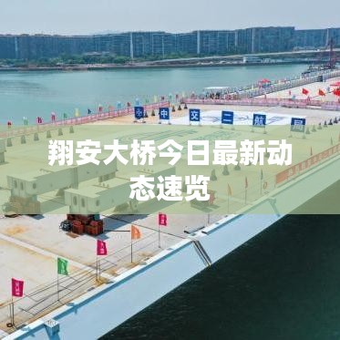 翔安大橋今日最新動(dòng)態(tài)速覽