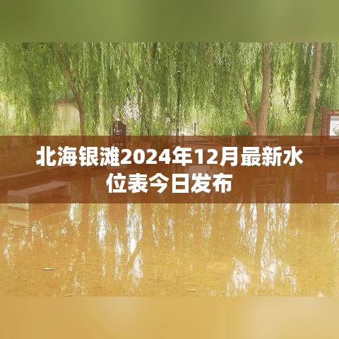 北海銀灘2024年12月最新水位表今日發(fā)布