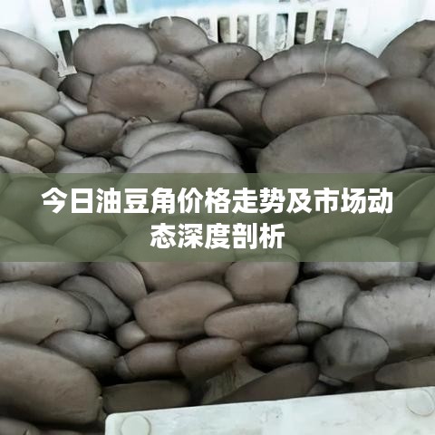 今日油豆角價(jià)格走勢(shì)及市場(chǎng)動(dòng)態(tài)深度剖析