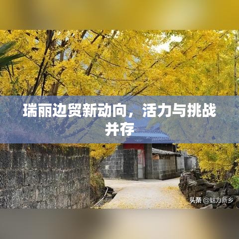 瑞麗邊貿(mào)新動(dòng)向，活力與挑戰(zhàn)并存