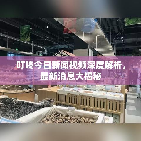 叮咚今日新聞視頻深度解析，最新消息大揭秘