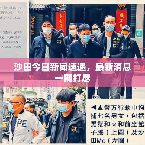 第3834頁