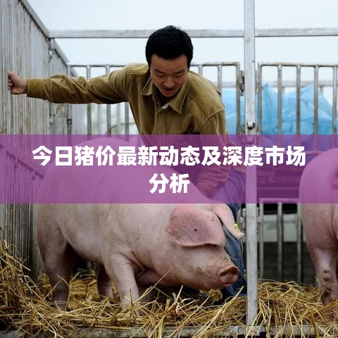 今日豬價(jià)最新動(dòng)態(tài)及深度市場(chǎng)分析