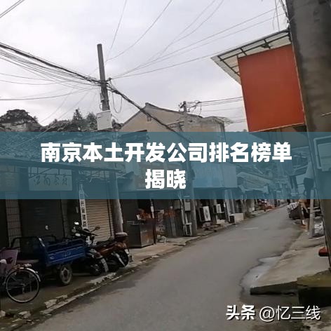 南京本土開(kāi)發(fā)公司排名榜單揭曉