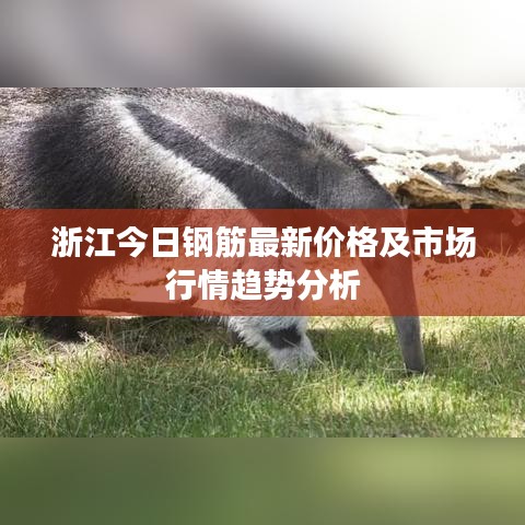 浙江今日鋼筋最新價(jià)格及市場(chǎng)行情趨勢(shì)分析