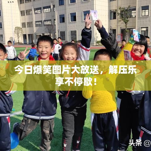 今日爆笑圖片大放送，解壓樂(lè)享不停歇！
