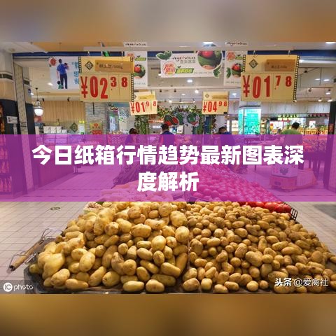 今日紙箱行情趨勢(shì)最新圖表深度解析