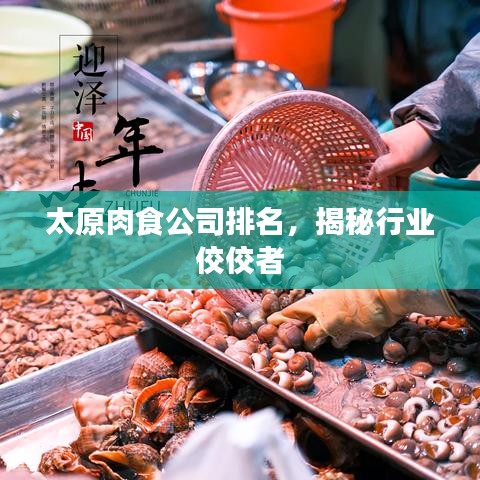 太原肉食公司排名，揭秘行業(yè)佼佼者