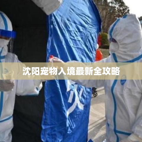 沈陽寵物入境最新全攻略