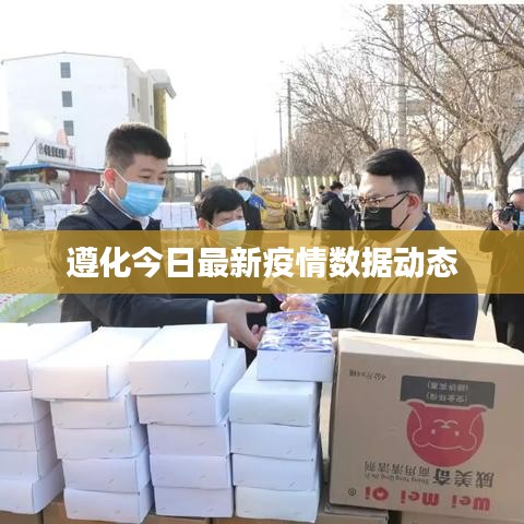 遵化今日最新疫情數(shù)據(jù)動態(tài)
