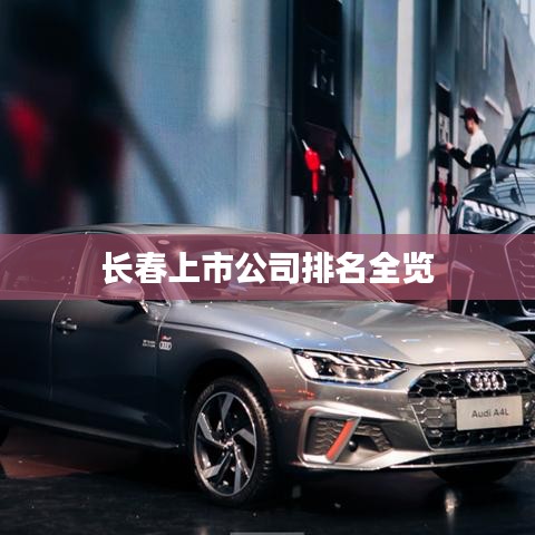 長春上市公司排名全覽