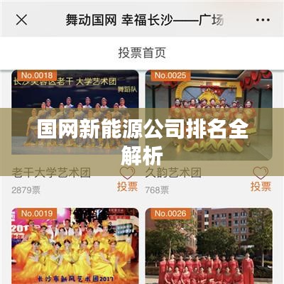 國(guó)網(wǎng)新能源公司排名全解析