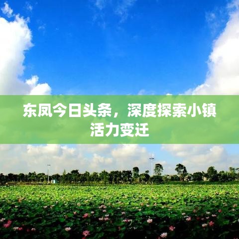 東鳳今日頭條，深度探索小鎮(zhèn)活力變遷
