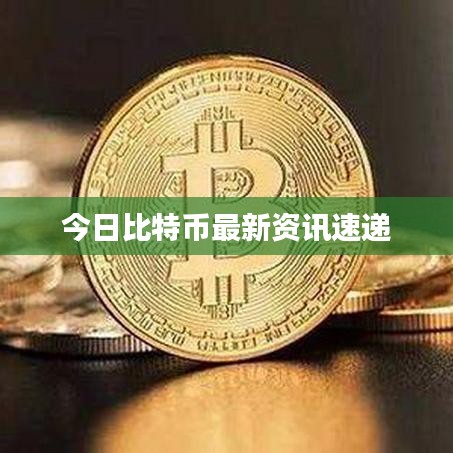 今日比特幣最新資訊速遞