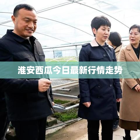 淮安西瓜今日最新行情走勢(shì)