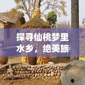 空前絕后 第7頁