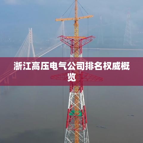 浙江高壓電氣公司排名權(quán)威概覽