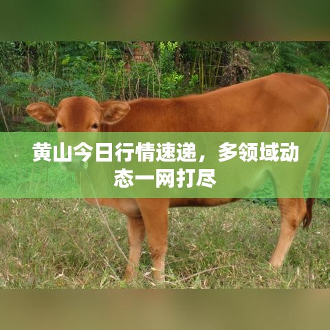 第3828頁