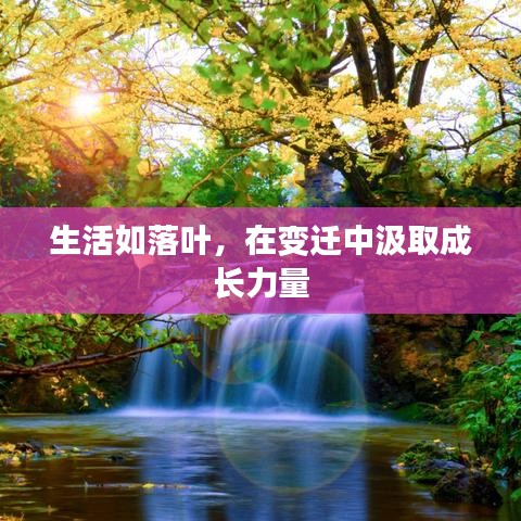 生活如落葉，在變遷中汲取成長力量