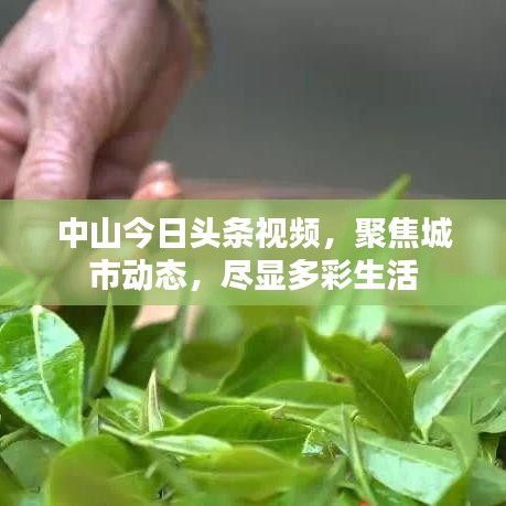中山今日頭條視頻，聚焦城市動(dòng)態(tài)，盡顯多彩生活