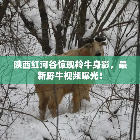 行業(yè)新聞 第1920頁