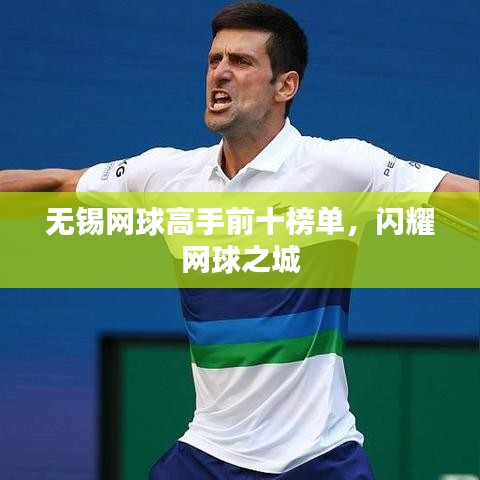 無錫網(wǎng)球高手前十榜單，閃耀網(wǎng)球之城