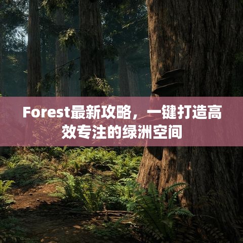 Forest最新攻略，一鍵打造高效專注的綠洲空間