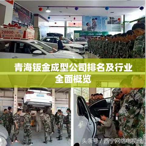青海鈑金成型公司排名及行業(yè)全面概覽