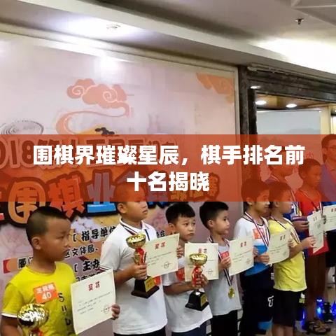 圍棋界璀璨星辰，棋手排名前十名揭曉
