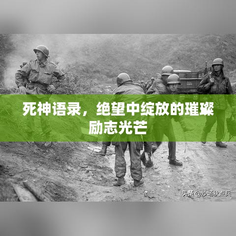 死神語錄，絕望中綻放的璀璨勵志光芒