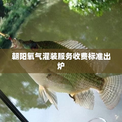 朝陽氧氣灌裝服務(wù)收費(fèi)標(biāo)準(zhǔn)出爐