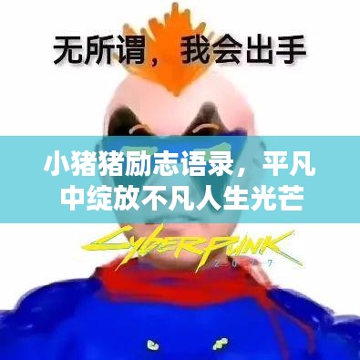 小豬豬勵志語錄，平凡中綻放不凡人生光芒