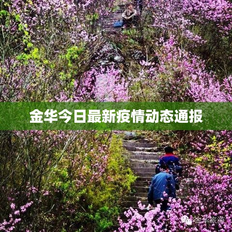 金華今日最新疫情動態(tài)通報