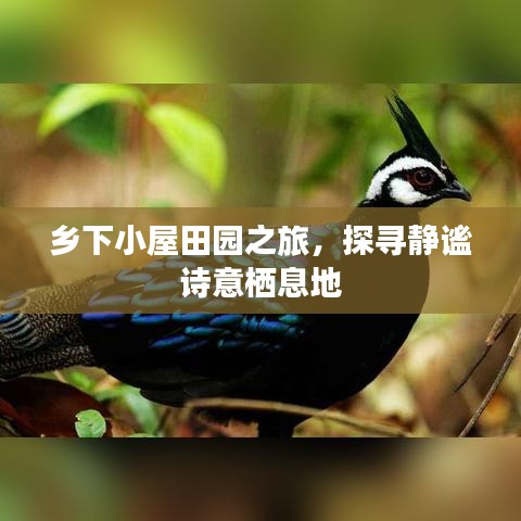 鄉(xiāng)下小屋田園之旅，探尋靜謐詩(shī)意棲息地