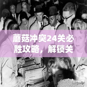 蘑菇?jīng)_突24關(guān)必勝攻略，解鎖關(guān)鍵策略最新指南