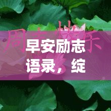 早安勵(lì)志語(yǔ)錄，綻放美麗，自信做女王