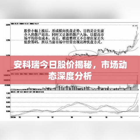 安科瑞今日股價(jià)揭秘，市場(chǎng)動(dòng)態(tài)深度分析