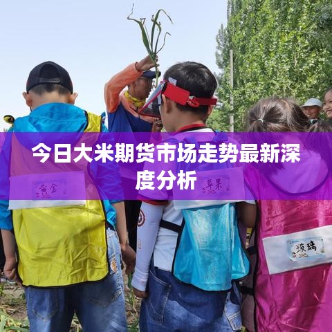 今日大米期貨市場走勢最新深度分析